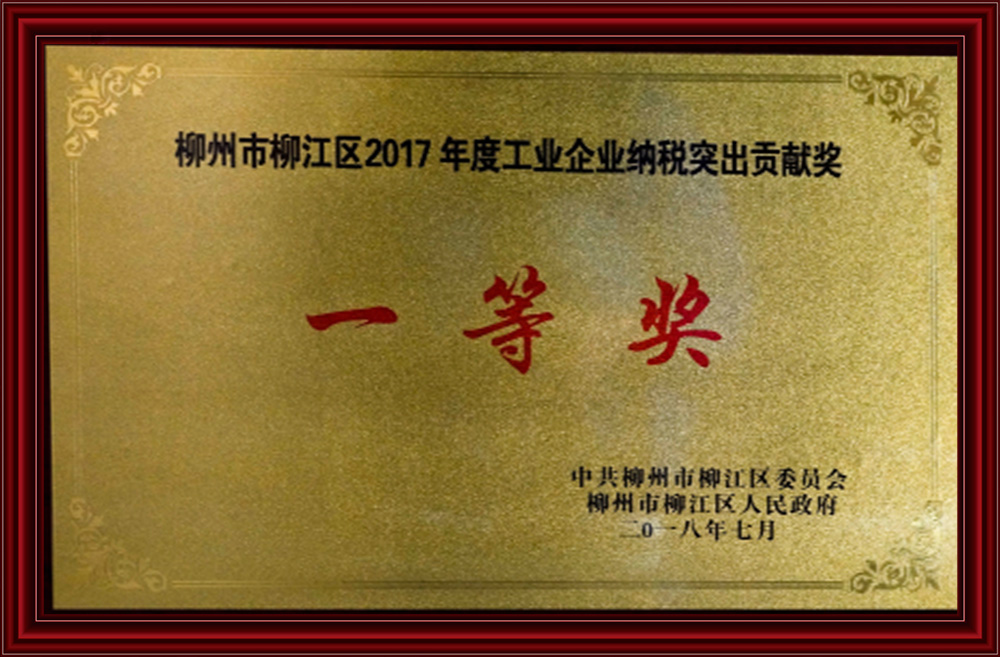 2017工業(yè)企業(yè)納稅突出貢獻獎一等獎